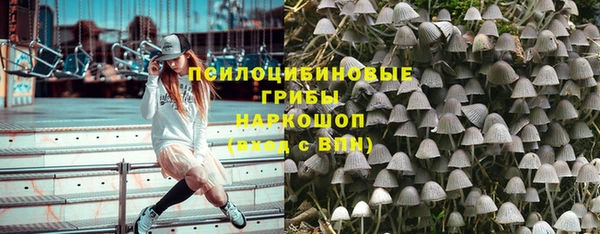 стаф Баксан