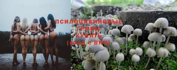соль ск Балабаново